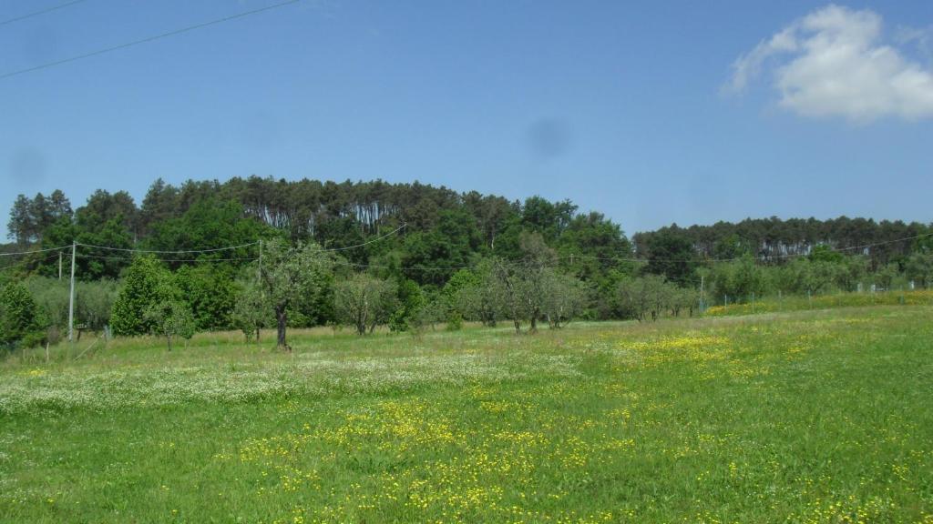 לינה וארוחת בוקר אלטופאשיו Casa Fontanino מראה חיצוני תמונה